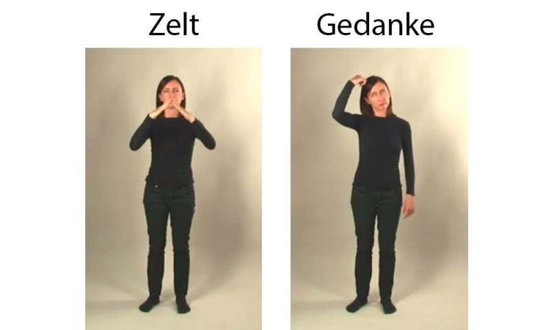 Pictures and gestures are effective support methods in foreign language teaching for children