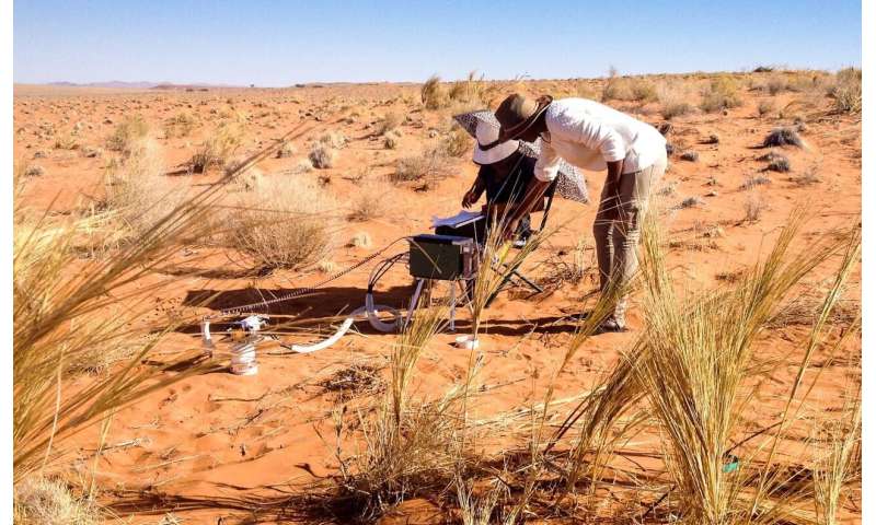 One of the world's driest deserts is the focus of a new study on our changing climate
