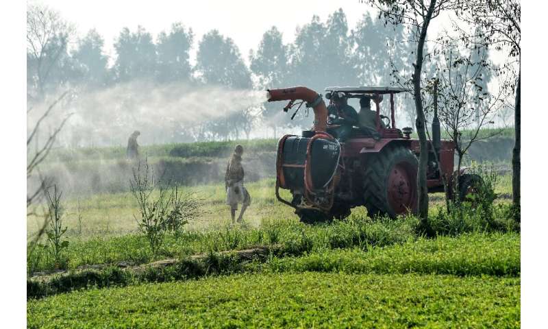 Pakistan could suffer about $5 billion in losses if 25 percent of its crops are damaged, the UN's Food and Agriculture Organizat