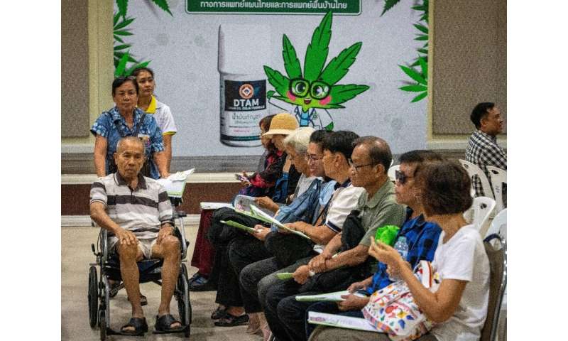 Patients wait to register for treatment at the opening of a medical marijuana clinic in Bangkok