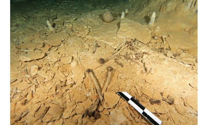 Prehistoric skeleton discovered in Southern Mexico