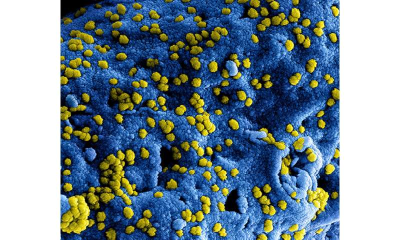 Promising MERS coronavirus vaccine trial in humans