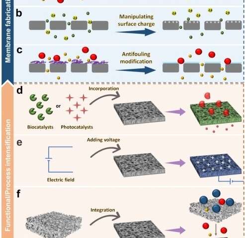 Promising strategies to enhance separation selectivity of nanofiltration