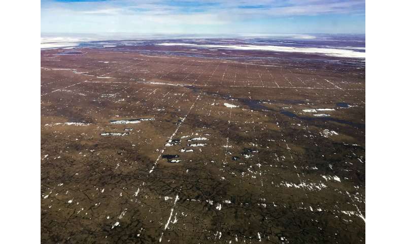 Proposed seismic surveys in Arctic Refuge likely to cause lasting damage