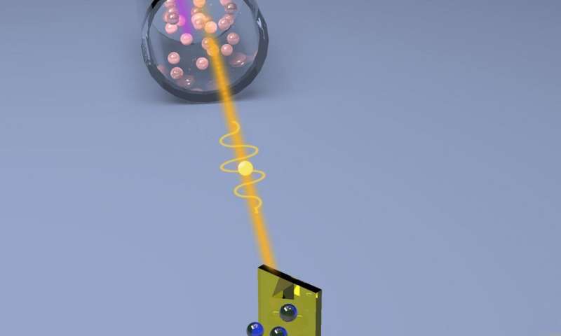 Quantum light squeezes the noise out of microscopy signals