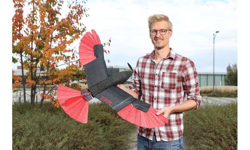 Drones with deformed wings and tails inspired by the Raptor