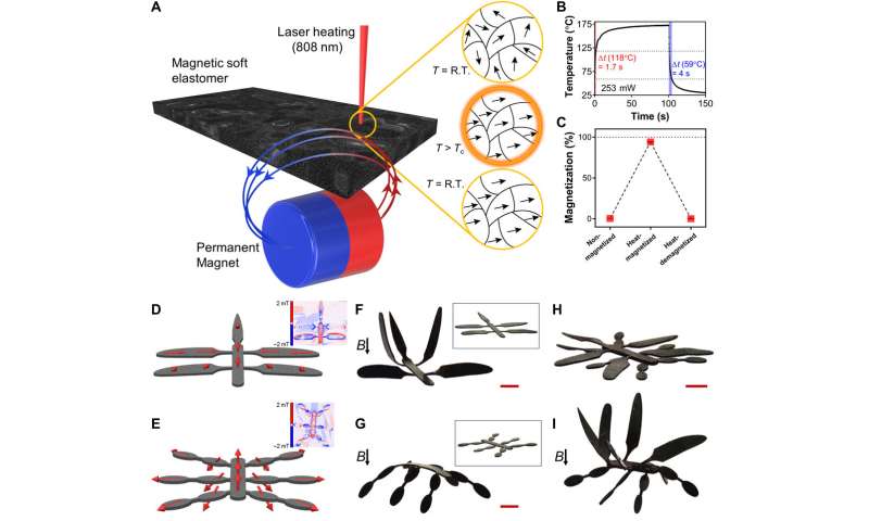 Reprogrammable shape morphing of magnetic soft machines