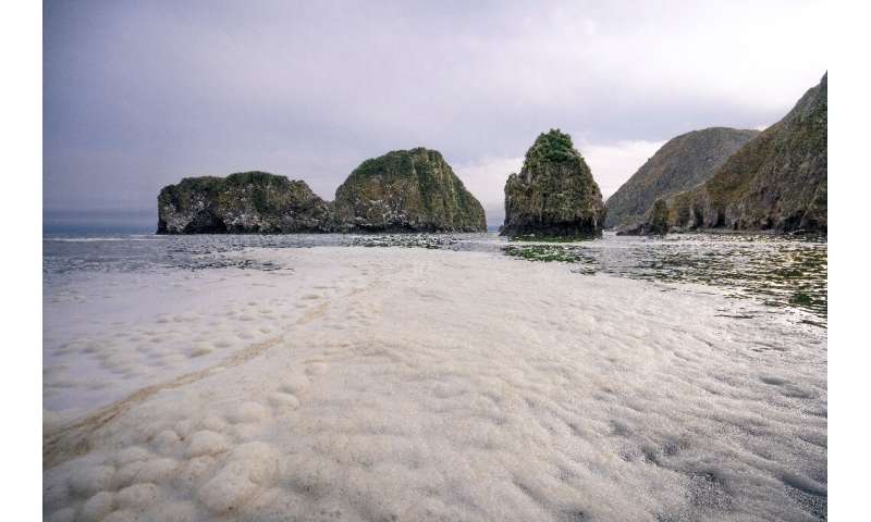 Russian researchers said the pollution slick was creating an unusual foam as it floated on the surface of the sea