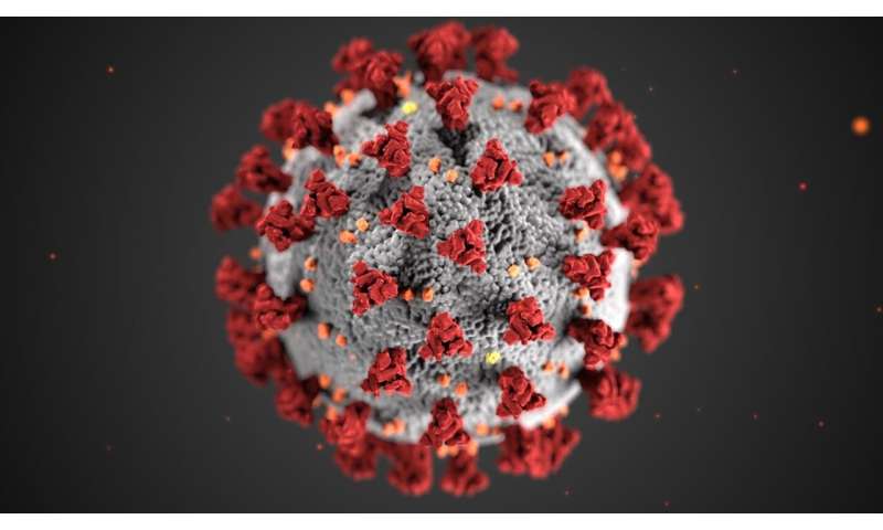 Rutgers launches genetic testing service for new coronavirus