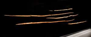 Sch&amp;#246;ninger spears - mankind's earliest wooden weapons