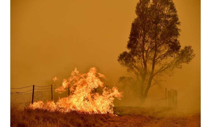 Os cientistas dizem que o aumento da temperatura verá incêndios ocorrendo com mais frequência