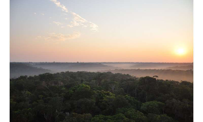 Some Amazon rainforest regions more resistant to climate change than previously thought