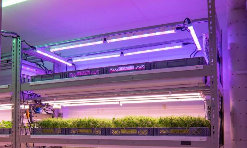 Space to grow, or grow in space -- how vertical farms could be ready to take-off