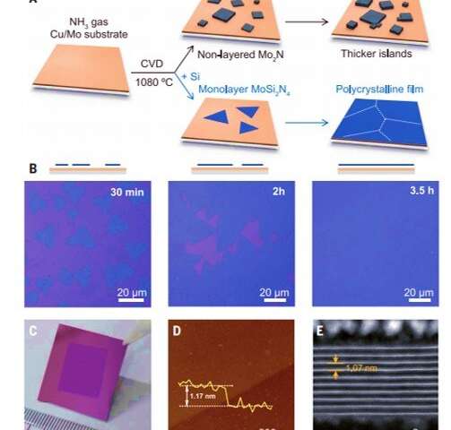 Stabilizing monolayer nitrides with silicon