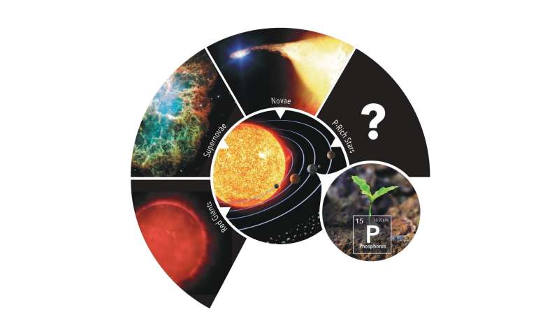 Stars rich in phosphorus: Seeds of life in the universe