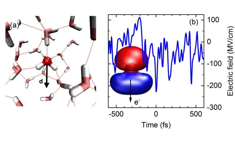 Strong fields and ultrafast motions--how to generate and steer electrons in liquid water