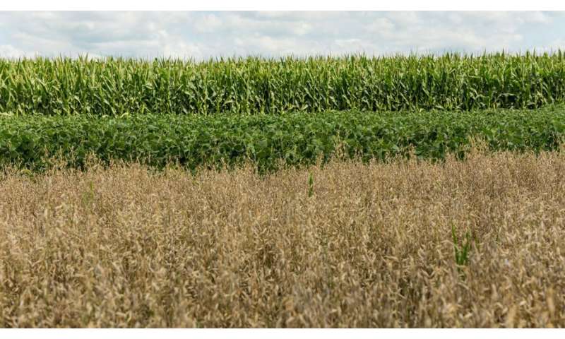 Study seeks to increase adoption of soil conservation practices