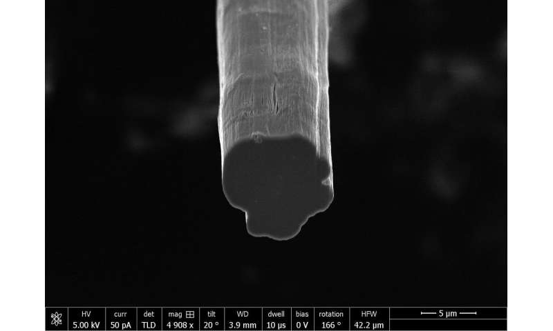 Team makes case for high-performance carbon nanotube fibers for industry