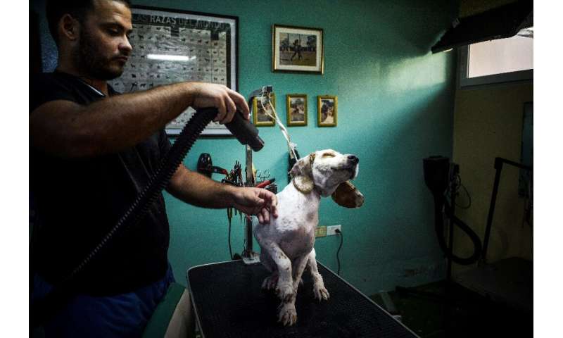 The Don Silver pooch pampering salon in the Santa Fe neighborhood of Havana