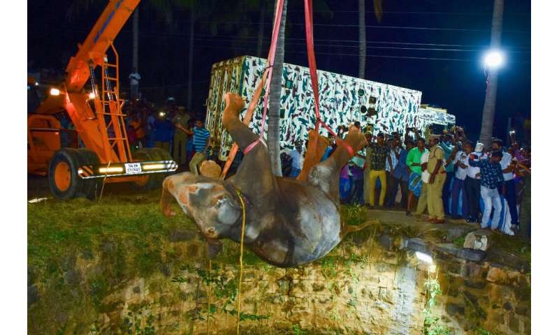 The elephant had fallen some 20 metres (70 feet) into the well, and had to be lifted out with a crane