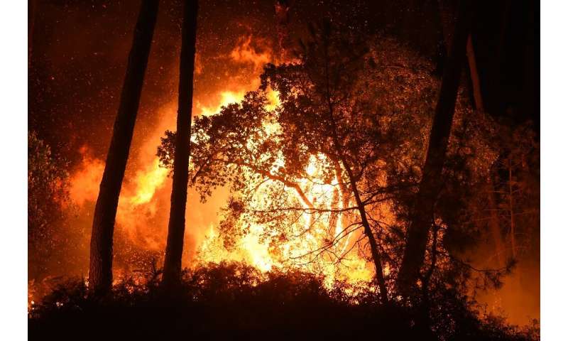 The fire rages in the Chiberta forest, in the southwestern French municipality of Anglet