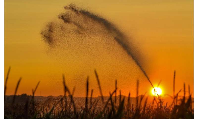 The intense drought in Europe from 2018 to 2019 was the first two-year dry period in 250 years, the study found