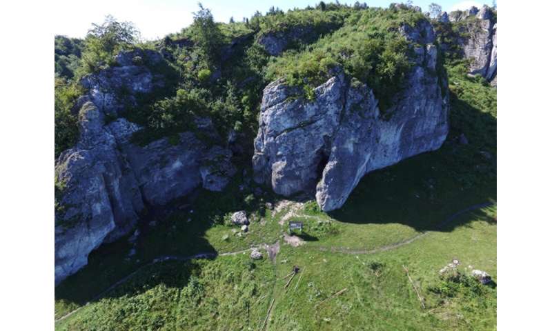 The oldest Neanderthal DNA of Central-Eastern Europe
