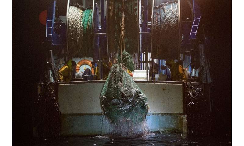 The picture is equally dire in the ocean, where 75 percent of fish stocks are over exploited
