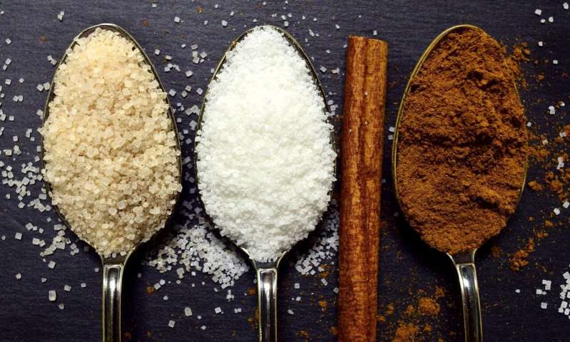 The science of how diet can change the way sugar tastes