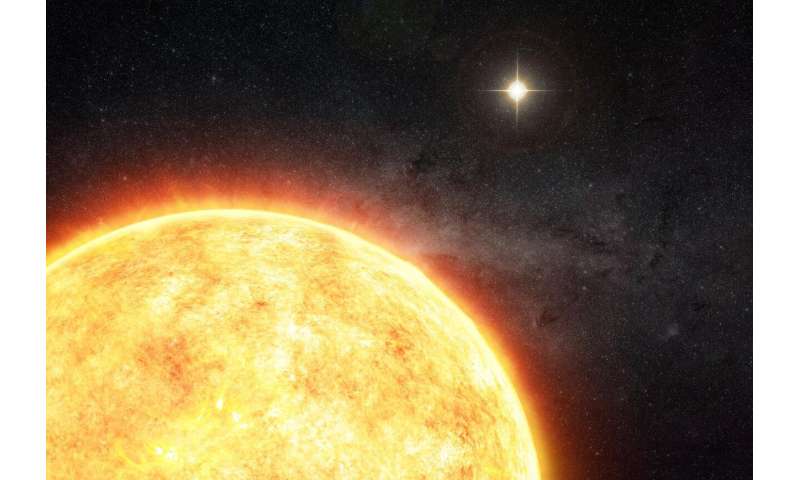 The sun may have started its life with a binary companion Thesunmayhav