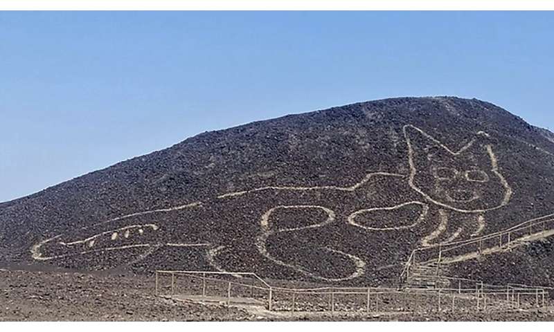 This photo released by the Peruvian Ministry of Culture and taken on October 15, 2020 shows a giant cat figure etched into a slo