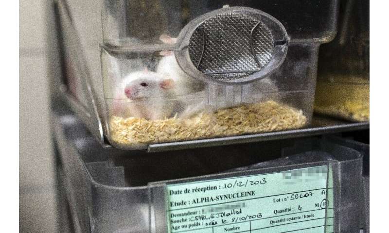 This picture shows mice in a box at the Neurosciences rechearch Center CERMEP in Bron, France in 2014
