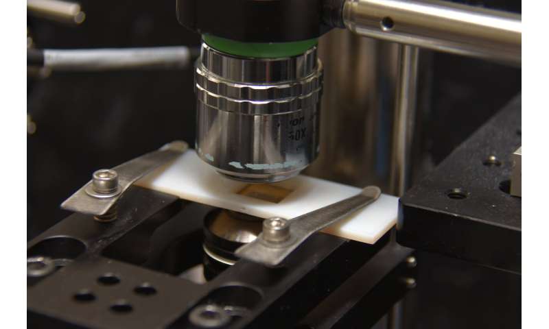 Kleine deeltjes vangen: een veelzijdig hulpmiddel voor nanomanipulatie