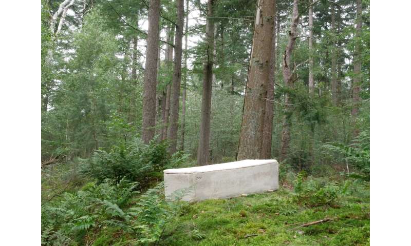TU Delft start-up develops ‘living coffin’