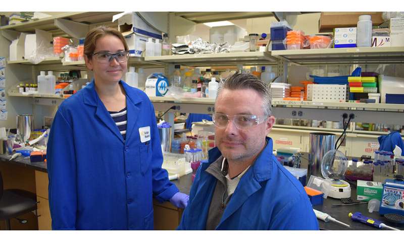 Two-birds-one-stone strategy shows promise in RNA-repeat expansion diseases