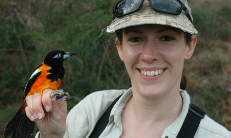 UMBC study reveals gender bias in bird song research and impact of women on science