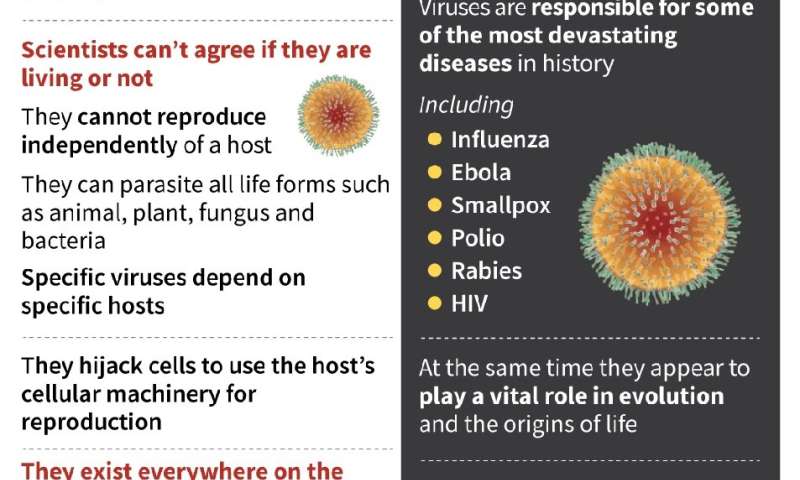 Virus quick facts