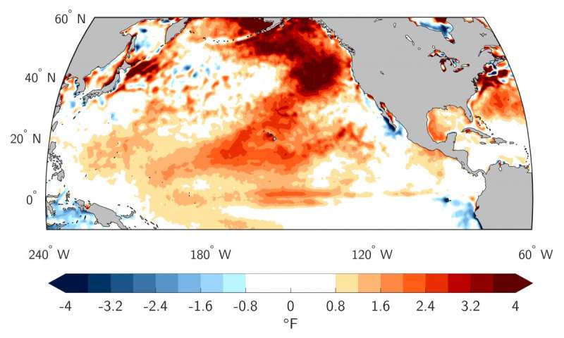 heat wave killed marine masse
