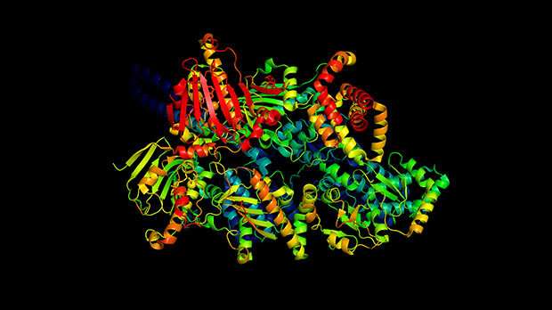 DeepMind“解决”蛋白质折叠问题对癌症研究意味着什么?