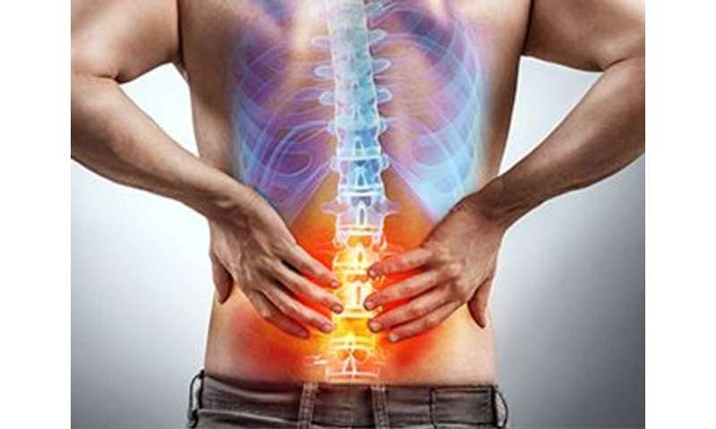Which exercise regimen works best to ease lower back pain? thumbnail