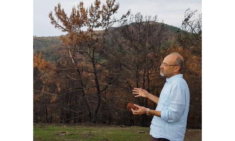 Wildfires in Izmir: a green plan for the city, an urban plan for the forests