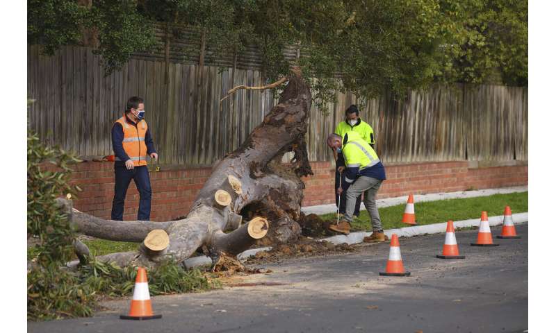 Wild windstorm kills 3, taints water in Melbourne, Australia