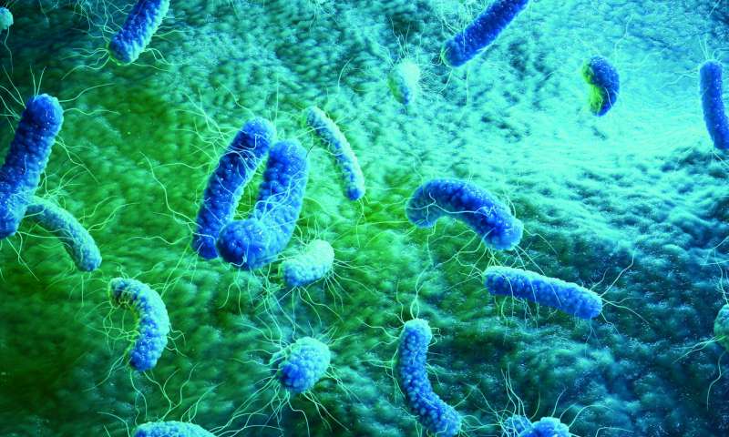威斯塔报道了一种新型抗生素，能有效对抗多种细菌