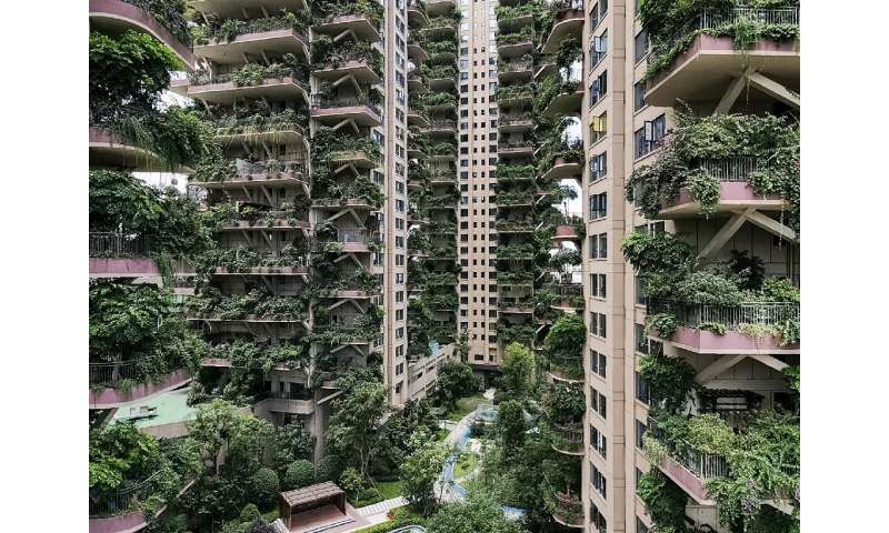 With hardly any residents to care for them, the plants at Chengdu's Qiyi City Forest Garden have overrun the towers