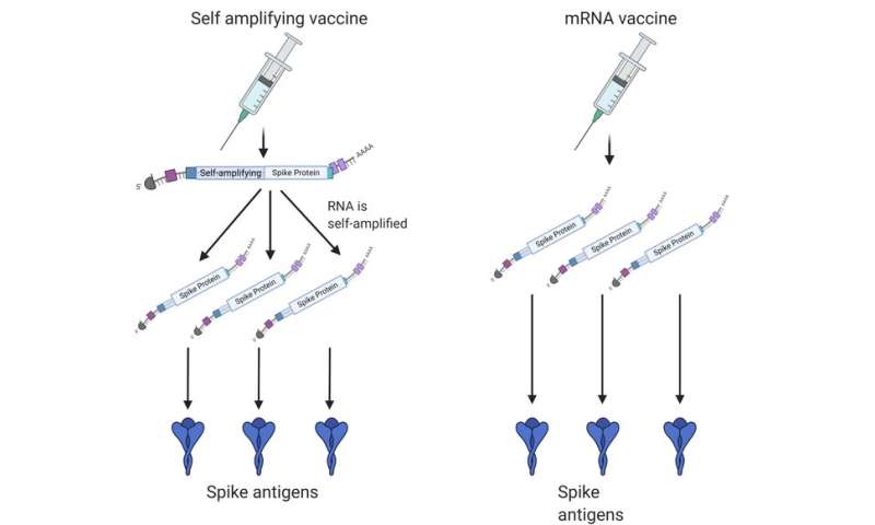 关于COVID疫苗mRNA的4件事研究人员仍想弄清楚