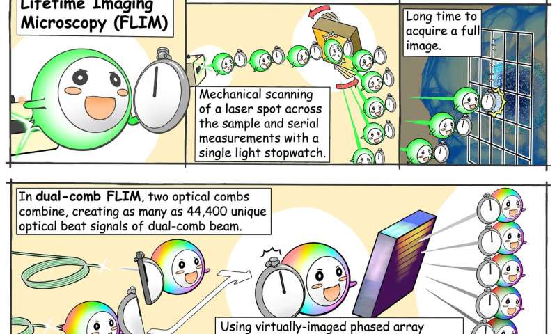 Comb of a lifetime: a new method for fluorescence microscopy