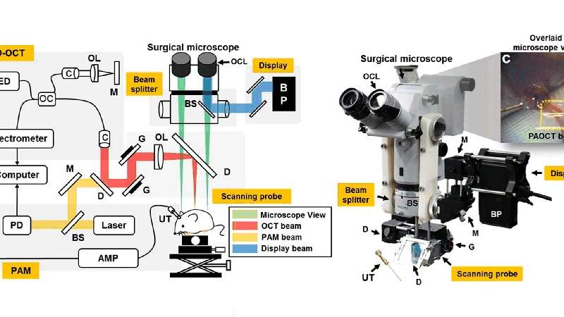 Evolving the surgical microscope