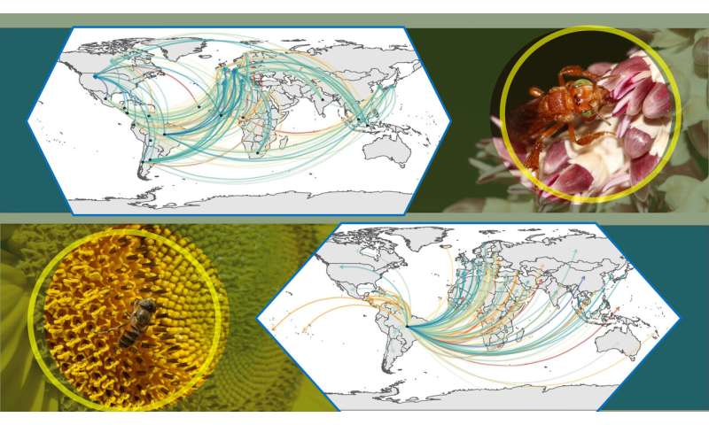 Researchers propose virtual biotic pollination flow as indicator of countries’ dependence on ecosystem services