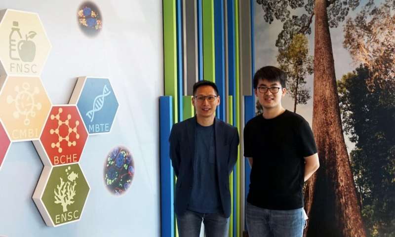 CUHK unveils balance between two protein counteracting forces in hereditary ataxias