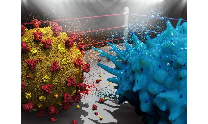 SARS-CoV-2突变可以使人类T-killer细胞的免疫监视